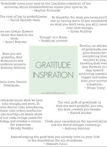 Gratitude Inspiration