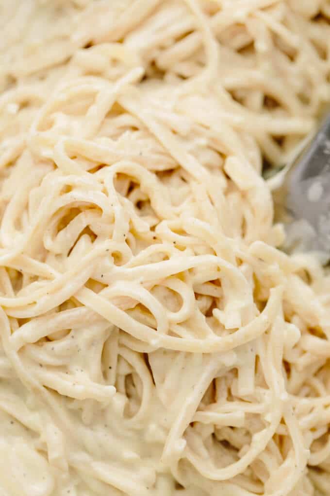 Vegan Creamy Garlic Lemon-Pepper Pasta