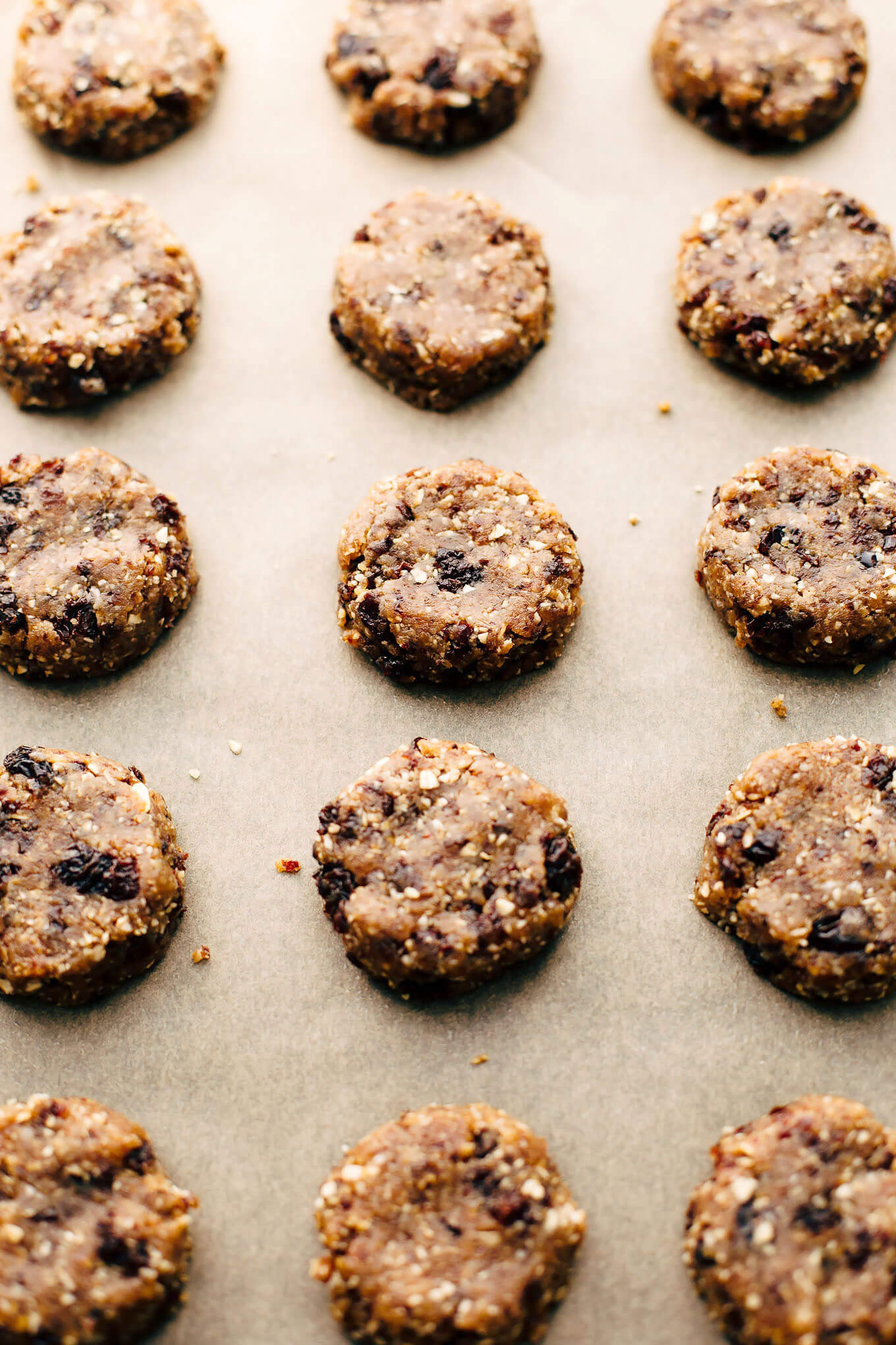 Almost Raw Vegan Oatmeal Raisin Cookies with Vanilla Cashew Buttercream