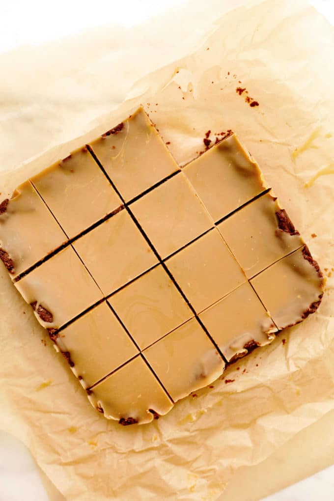 Vegan Gluten-Free Peanut Butter Brownies with PB Glaze
