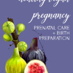 Healthy Vegan Pregnancy: Prenatal Care + Birth Preparation