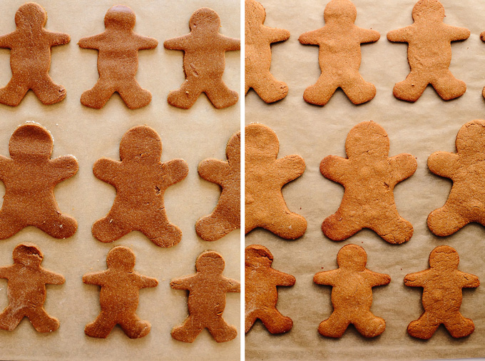 Vegan Gluten-Free Iced Gingerbread Cookies