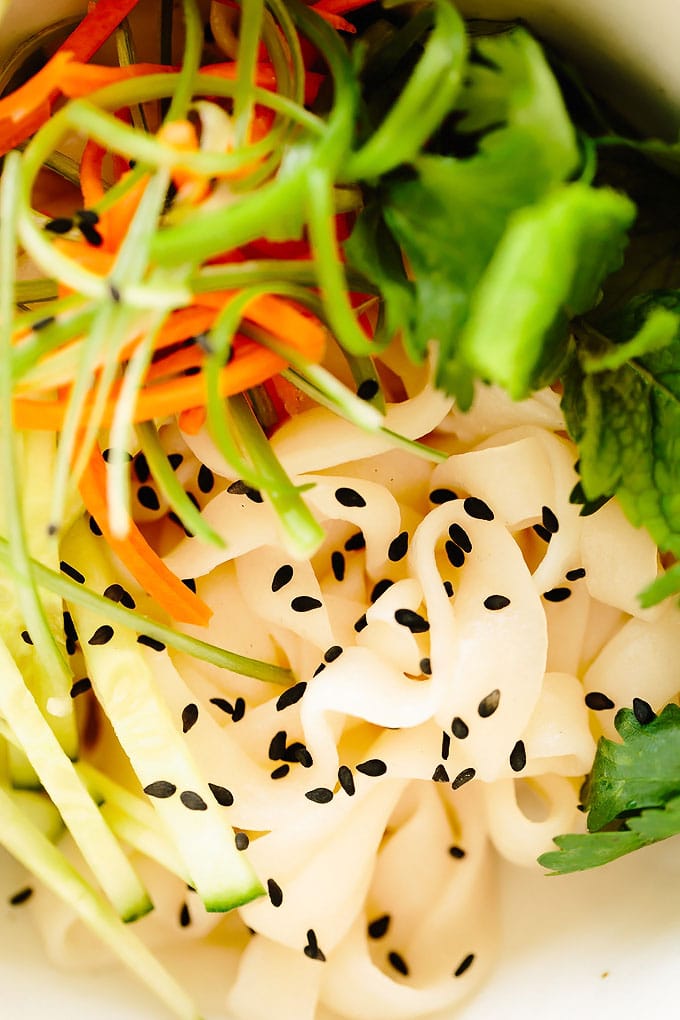 Vegan Summer Roll Noodles