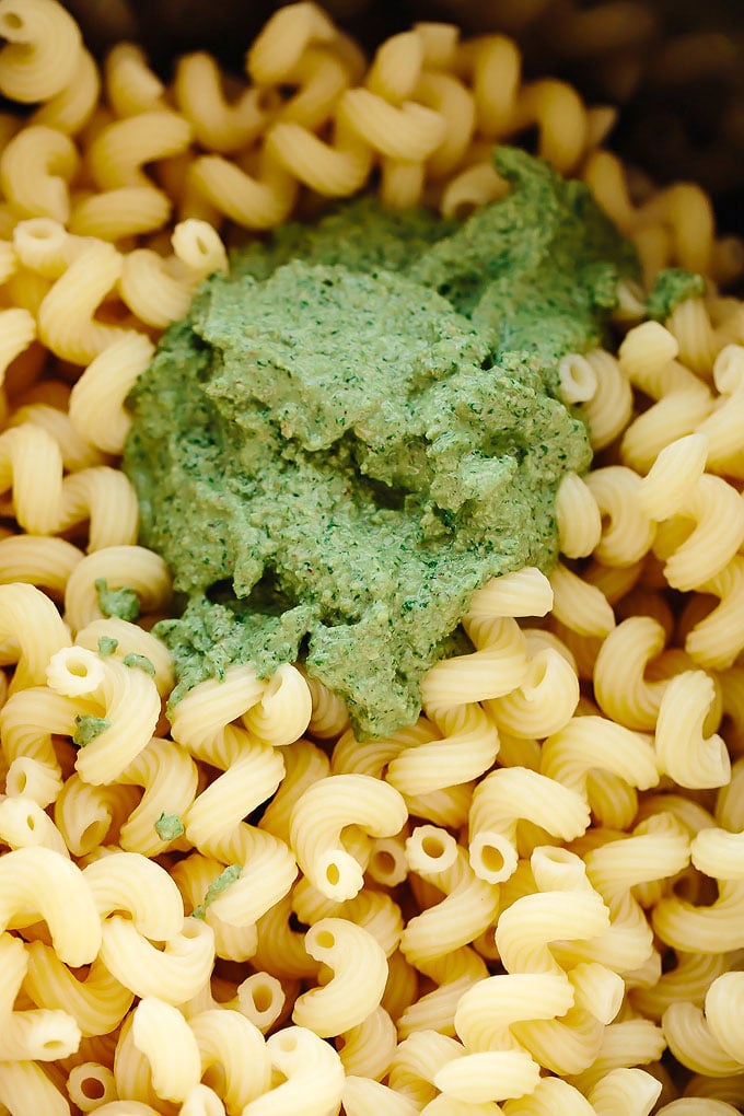 Vegan Walnut Pesto Cavatappi