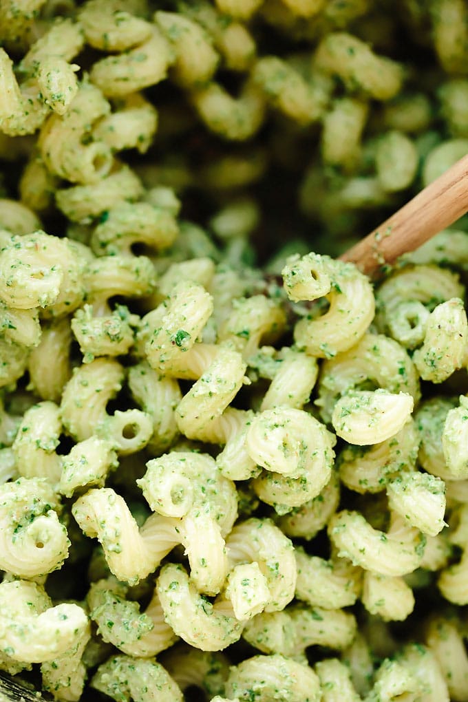 Vegan Walnut Pesto Cavatappi