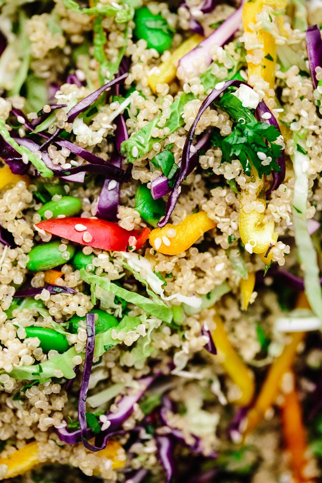 Quinoa Rainbow Veggie Dumpling Bowls