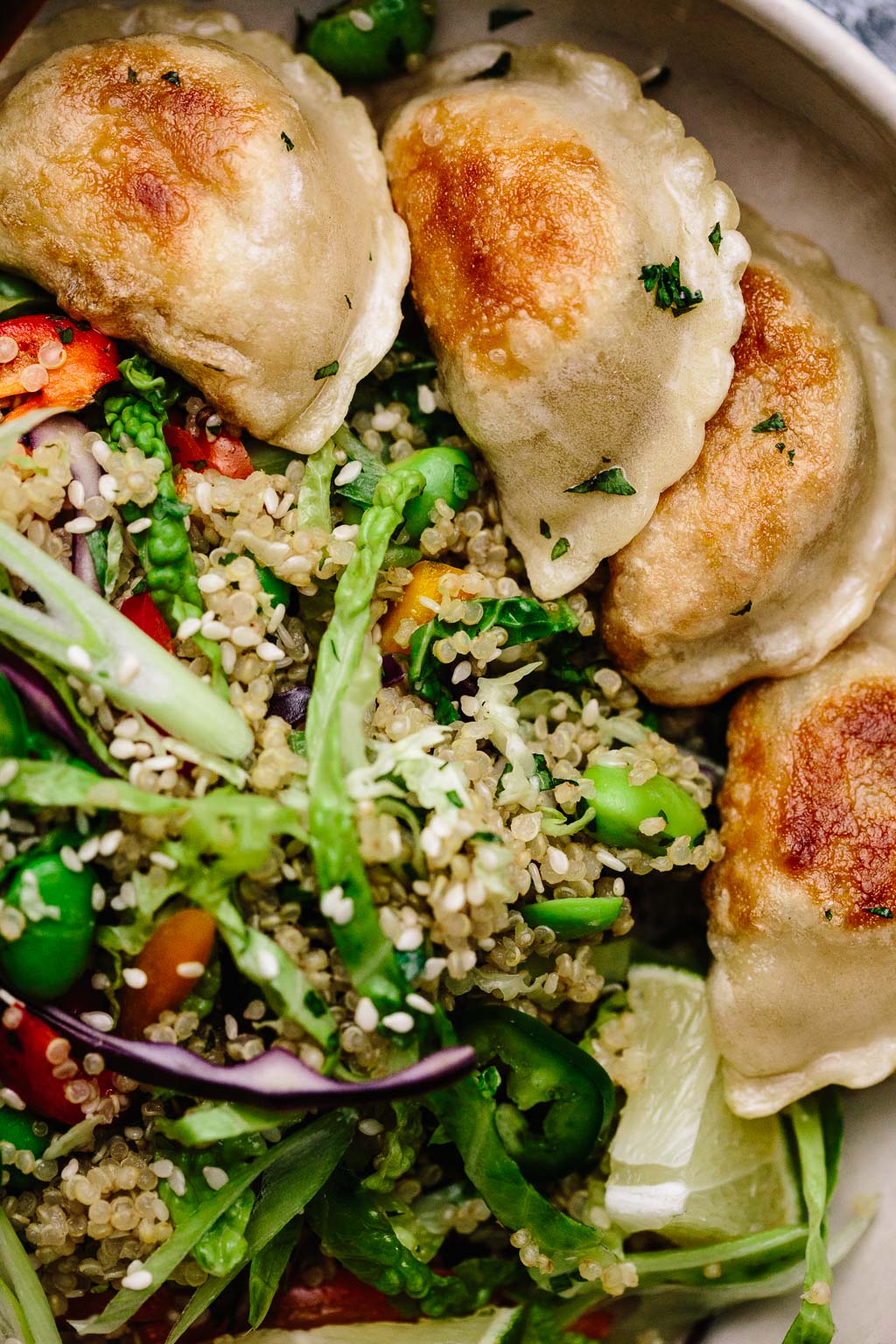 Quinoa Rainbow Veggie Dumpling Bowls