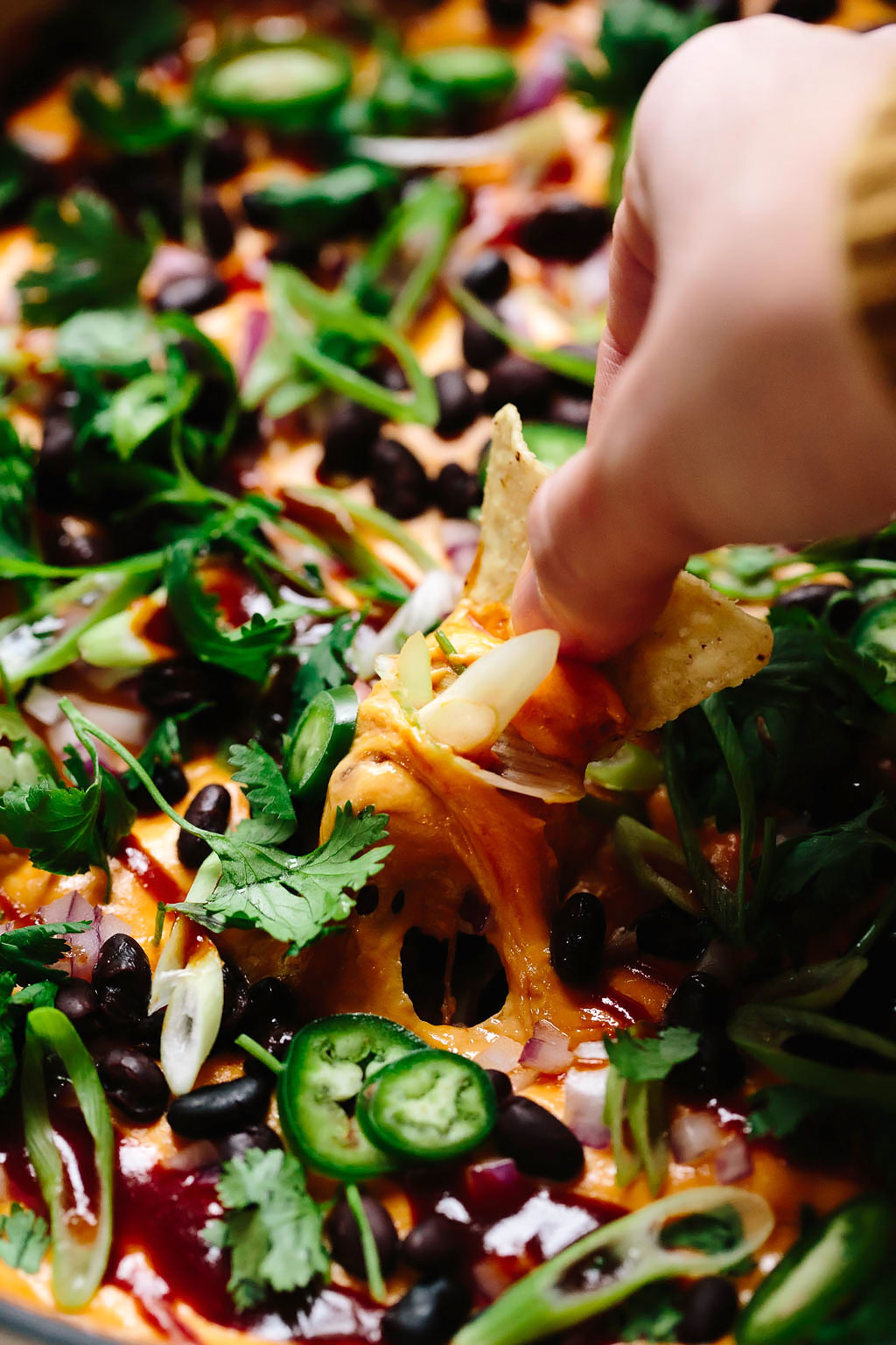 Vegan Cheesy BBQ Chicken Dip